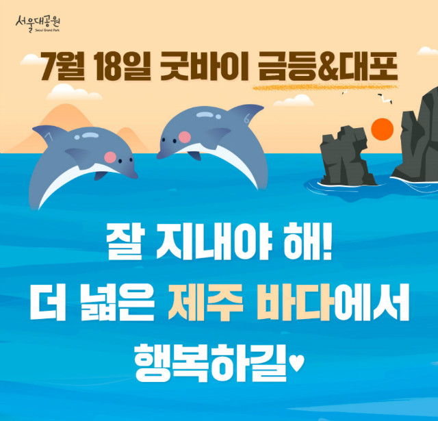 굿바이 금등,대포, 잘지내야해! 더 넓은 제주바다에서 행복하길