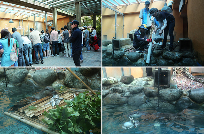 수달행동풍부화 진행 모습