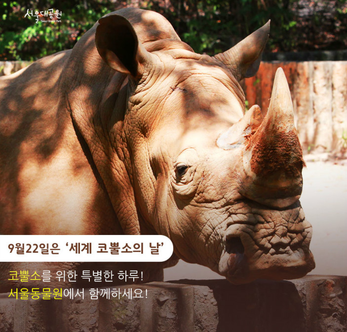 9월22일은 세계 코뿔소의 날! 코뿔소를 위한 특별한 하루! 서울동물원에서 함께하세요!