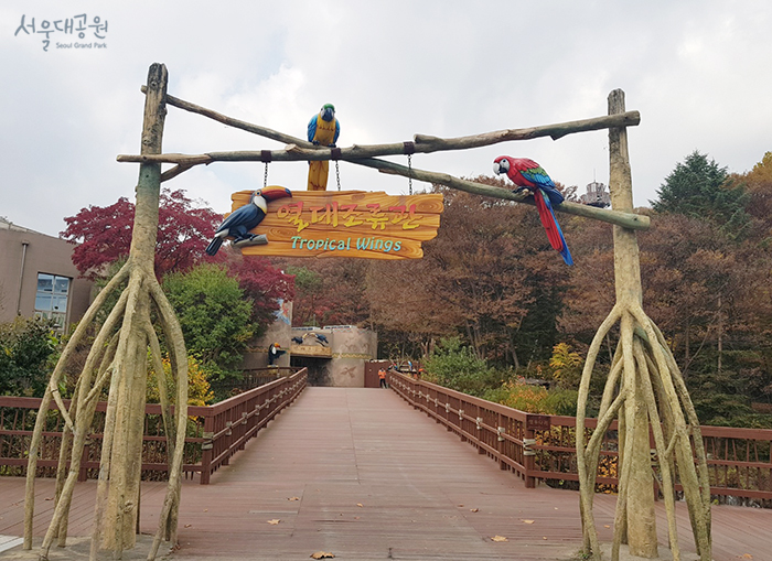 열대조류관-진입로.jpg
