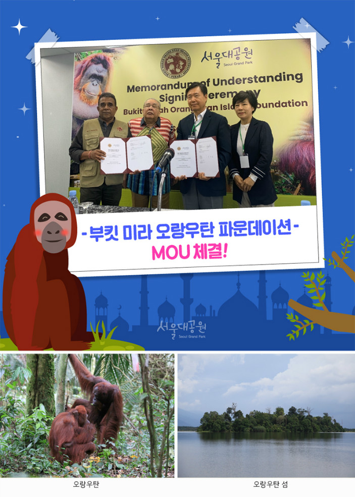 부킷미라 오랑우탄 파운데이션과 MOU체결! 오랑우탄과 오랑우탄섬 사진 제공