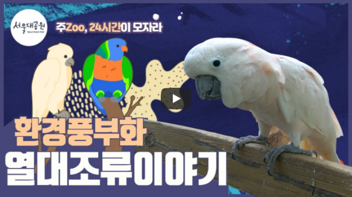 주Zoo, 24시간이 모자라! 동물교육영상 시리즈! 3편! 환경풍부화, 열대조류이야기