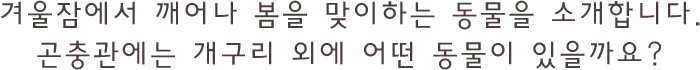 °Ü¿ïÀá¿¡¼ ±ú¾î³ª º½À» ¸ÂÀÌÇÏ´Â µ¿¹°À» ¼Ò°³ÇÕ´Ï´Ù. °ïÃæ°ü¿¡´Â °³±¸¸® ¿Ü¿¡ ¾î¶² µ¿¹°ÀÌ ÀÖÀ»±î¿ä?