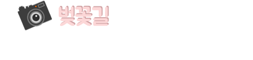 º¢²É±æ¿¡¼ ÂûĬ! Àλý¼¦ ÂïÀ¸·¯ ¼¿ï´ë°ø¿ø °£´Ù~