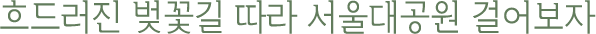 Èåµå·¯Áø º¢²É±æ µû¶ó ¼¿ï´ë°ø¿ø °É¾îº¸ÀÚ