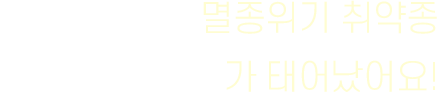 ¸êÁ¾À§±â Ãë¾àÁ¾ '¾Æ¸Þ¸®Ä«µé¼Ò'°¡ ž¾î¿ä!