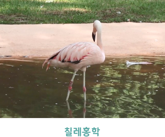서울대공원