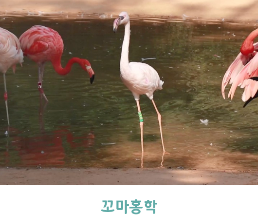서울대공원