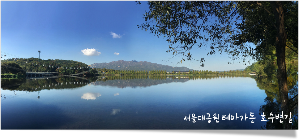 서울대공원 테마가든 호수변길