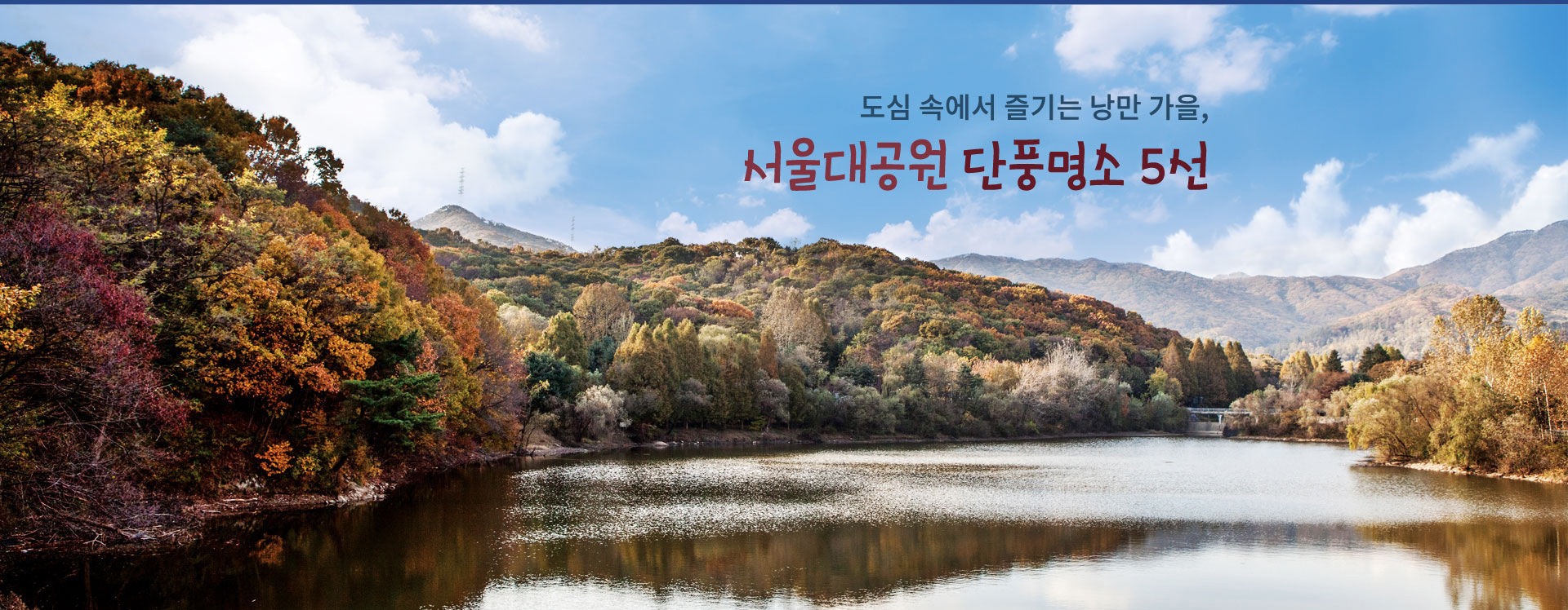 도심 속에서 즐기는 낭만 가을, 서울대공원 단풍명소 5선