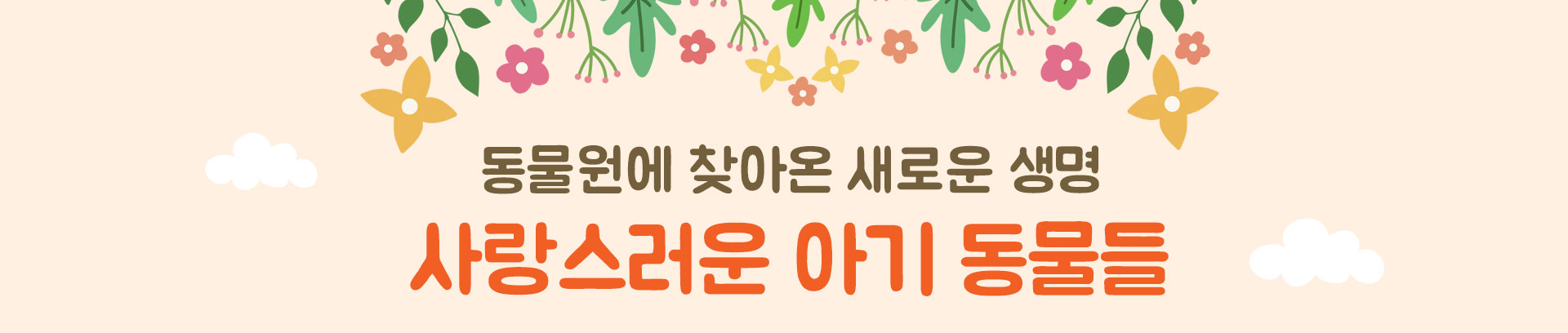 µ¿¹°¿ø¿¡ ã¾Æ¿Â »õ·Î¿î »ý¸í »ç¶û½º·¯¿î ¾Æ±â µ¿¹°µé
