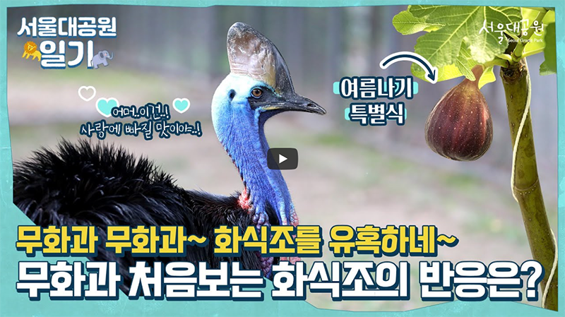 A special open food show for special animals to get out of summer~