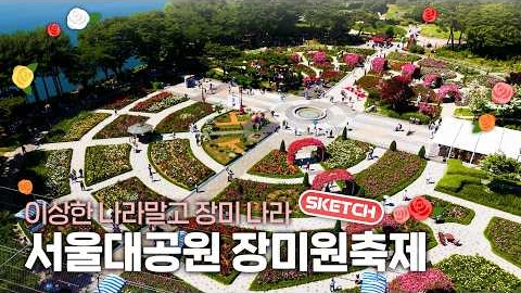 화려한 장미 향기로 물들었던 서울대공원만의 동화 속 축제 | 앨리스의 장미정원 피크닉 현장 스케치 🌹🎬