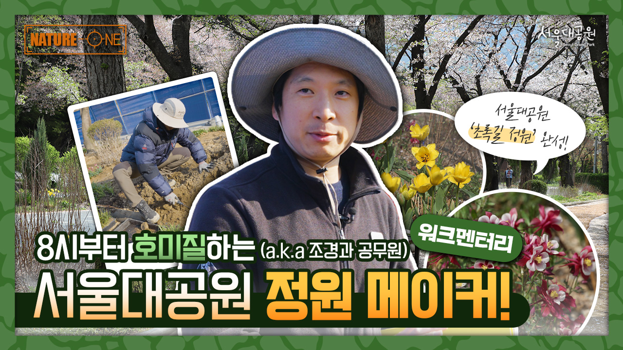 운동기구 대신 꽃을 심은 이유, 더 푸르고 안전해진 ‘초록길 정원’ 조성기 🌱🌳