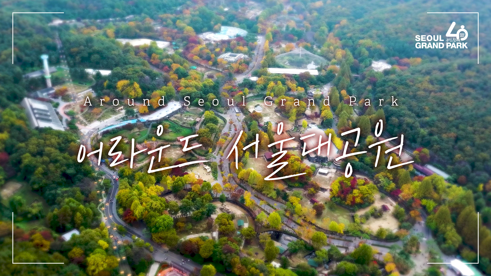 🍁 云端秋赏首尔大公园：一份来自高空的治愈与幸福 🍂