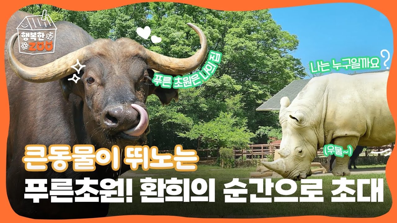 서울대공원 푸른 초원에 큰 동물이 산다✨