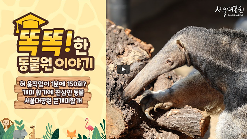 똑똑!한 동물원 이야기 '서울대공원에서 작은 남미를 만나보자!'