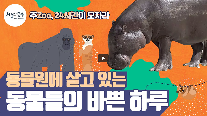 바쁘다 바빠~! 서울대공원 동물원~!