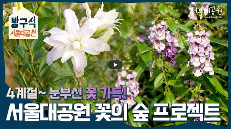 빨주노초파남보 무지개색 꽃 가득! 서울대공원 꽃의 숲 프로젝트에 초대합니다!
