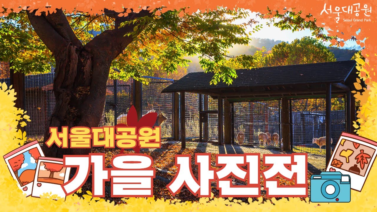 영상으로 만나는 서울대공원 가을 사진전