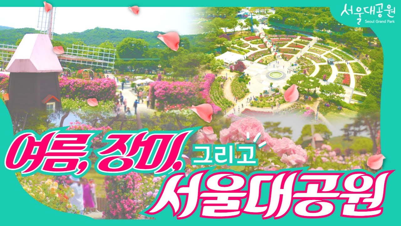Summer, roses and Seoul Grand Park