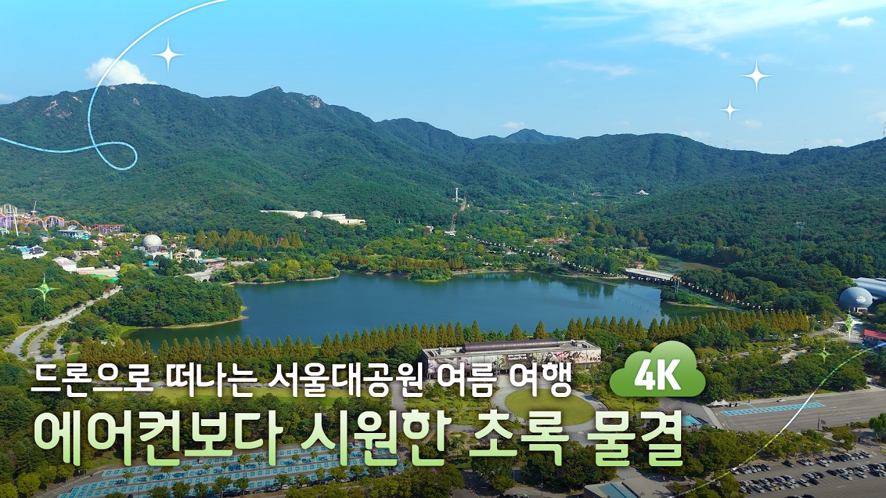 [4K] 300만 평을 채운 초록의 숨결, 하늘에서 본 서울대공원의 여름 🌿🚁