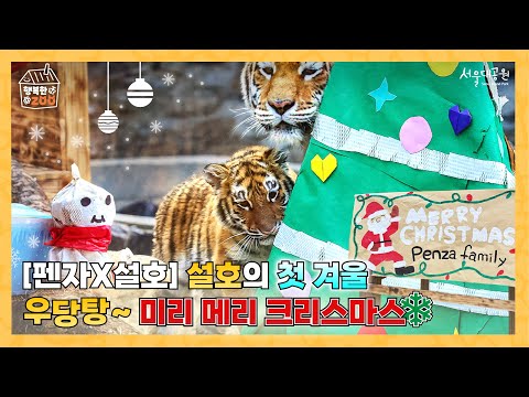 🐯[펜자X설호] 설호의 첫 겨울 우당탕~ 미리 메리 크리스마스