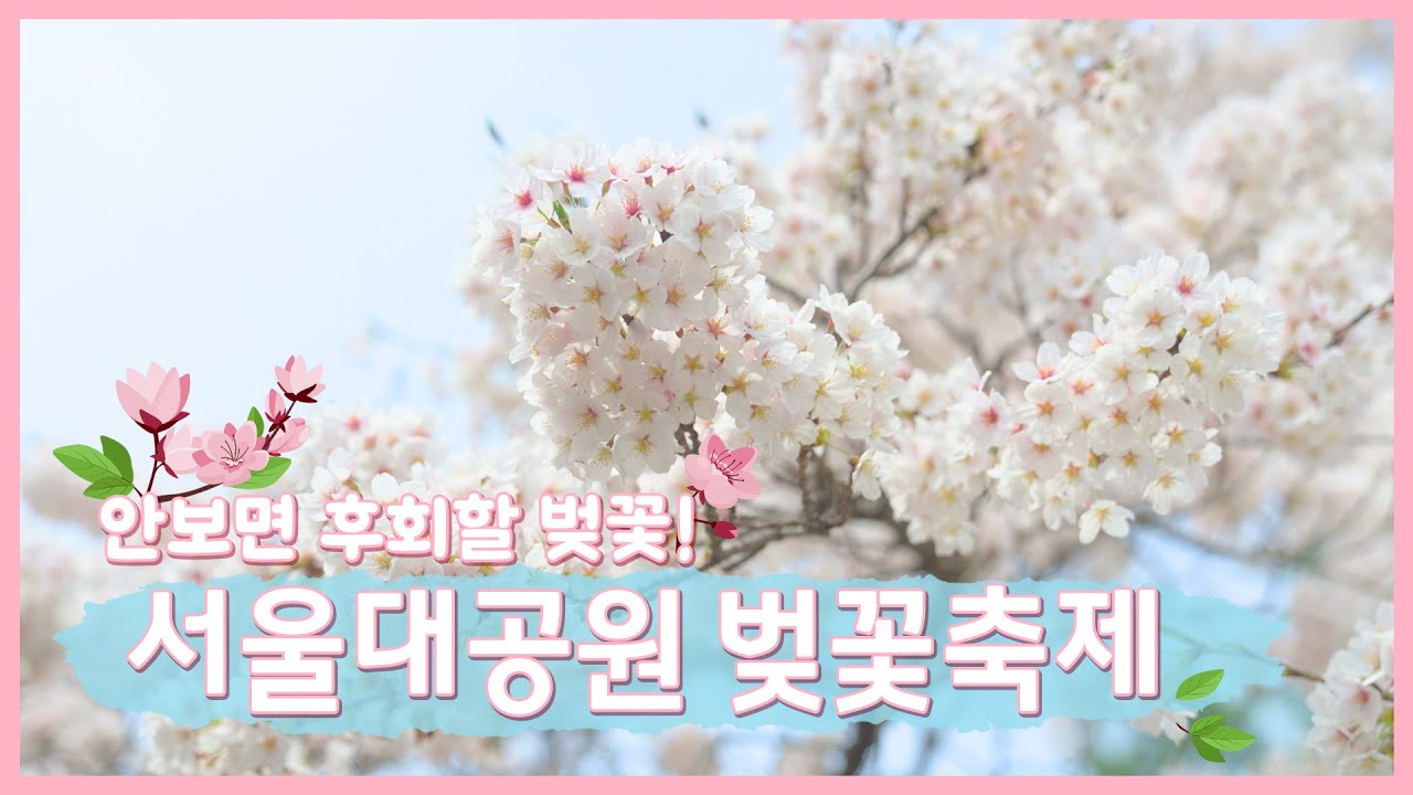 서울대공원에 봄이 왔나 봄~🌸 힐링과 감성이 충만했던 서울대공원 벚꽃 축제🎇