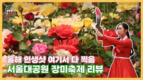 🎥🌹 2025 서울대공원 장미원 축제 스케치