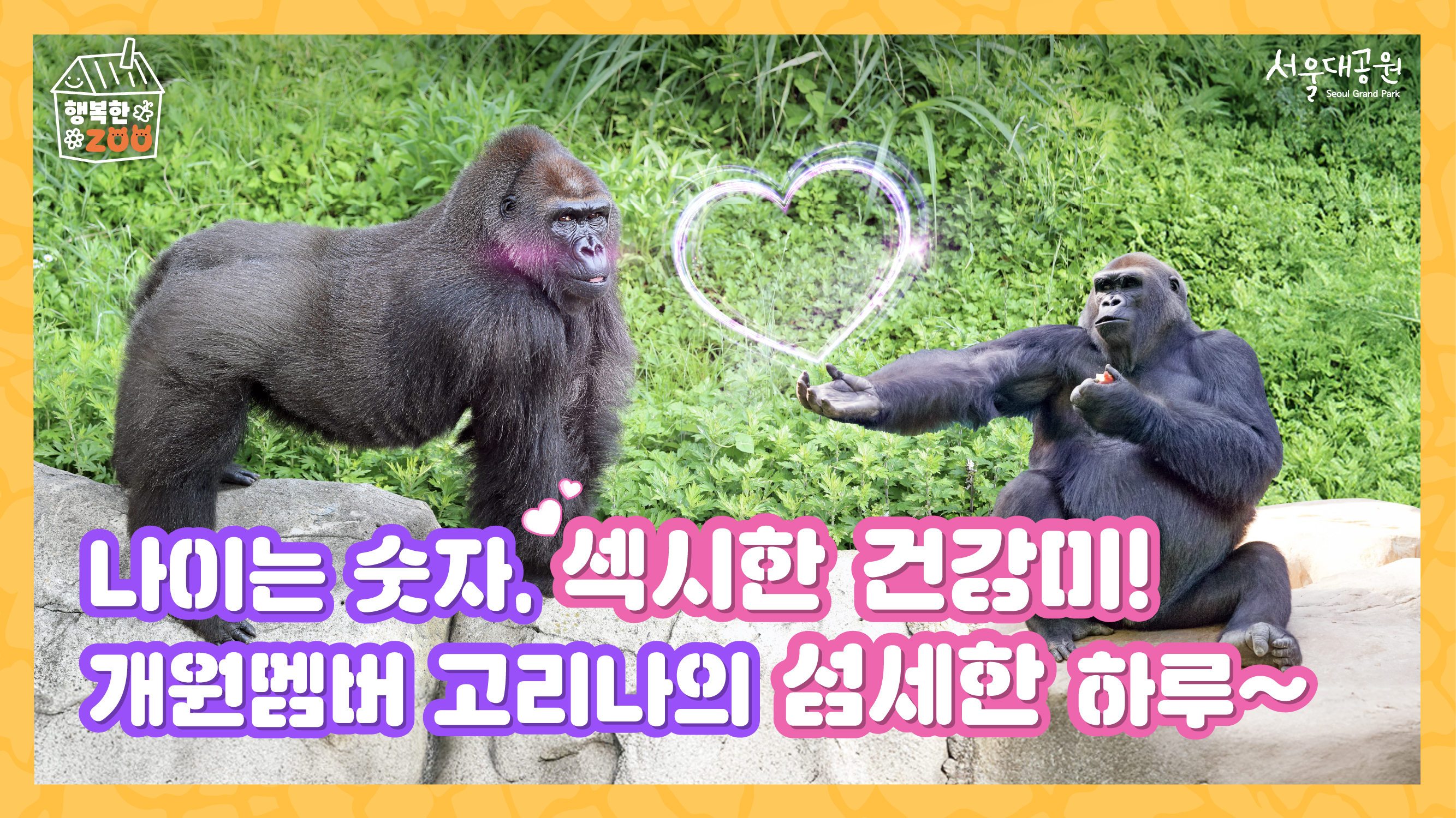 🦍나이는 숫자, 섹시한 건강미! 원년멤버 고리나의 섬세한 하루🌟