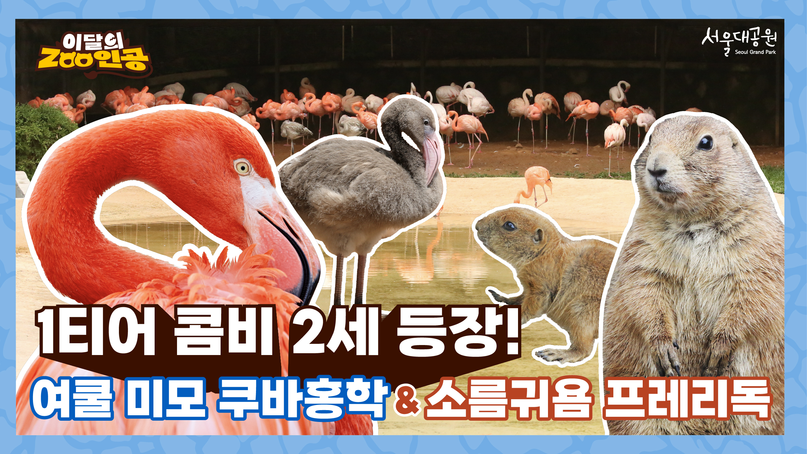 🦩 [이달의 ZOO인공] 1티어 콤비 2세 등장! 여쿨 미모 쿠바홍학 & 소름 귀욤 프레리독