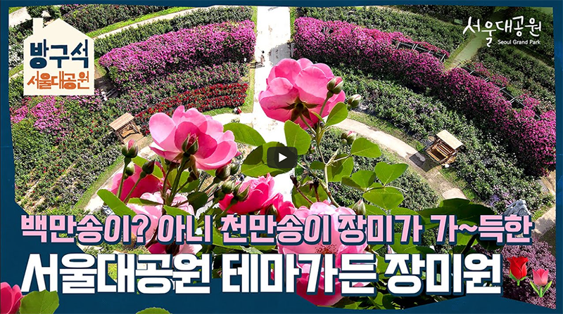 Seoul Grand Park theme garden rose garden🌹