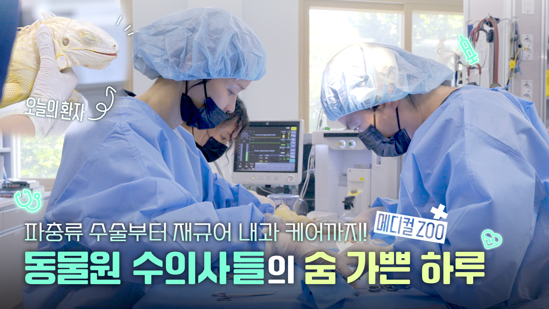 [메디컬ZOO] 동물병원의 어느 하루 1부 : 말하지 못하는 환자들과의 슬기로운 수의사생활