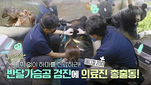 [메디컬ZOO] 동물병원의 어느 하루 2부 : 거대 환자들과 교감하는 진짜 야생의 슬기로운 수의사생활