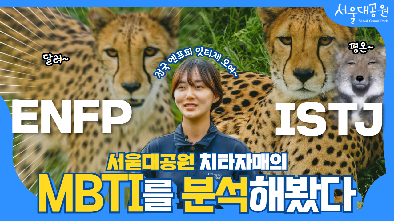 서울대공원의 뉴페이스, 베니와 코니!