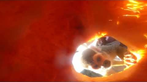 2024 행동 풍부화의 날_다람쥐원숭이(호박)