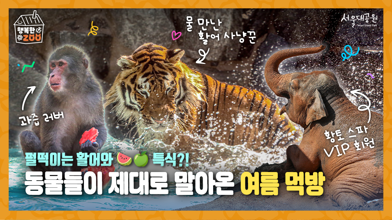  [행복한ZOO] 온기와 정성으로 가득한, 서울대공원 동물들의 시원하고 건강한 여름나기 🍉🧊