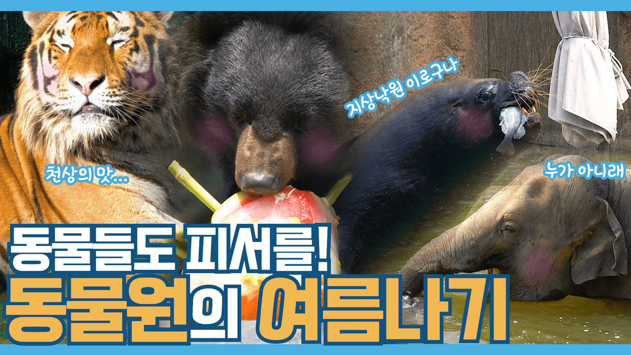 보기만 해도 시원~ 서울대공원 동물들의 여름나기!