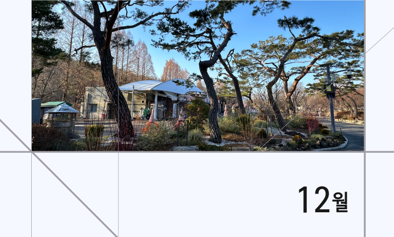 12월 꽃의 숲 이야기
