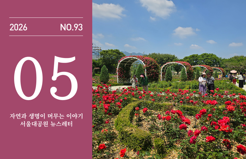 2026년 5월 뉴스레터 93호