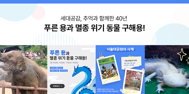 세대공감, 추억과 함께한 40년 푸른 용과 멸종 위기 동물 구해용!