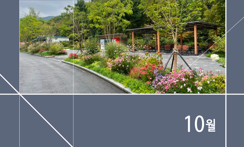 10월 꽃의 숲 이야기