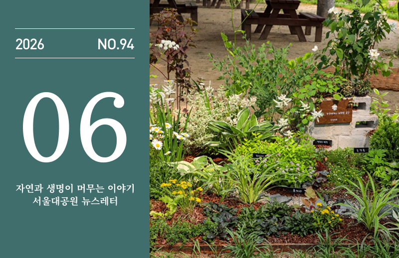 2026년 6월 뉴스레터 94호