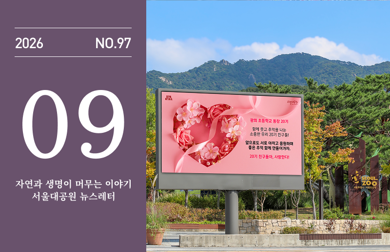 2026년 9월 뉴스레터 97호