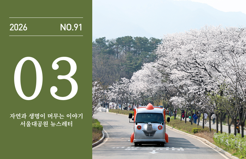 2026년 3월 뉴스레터 91호