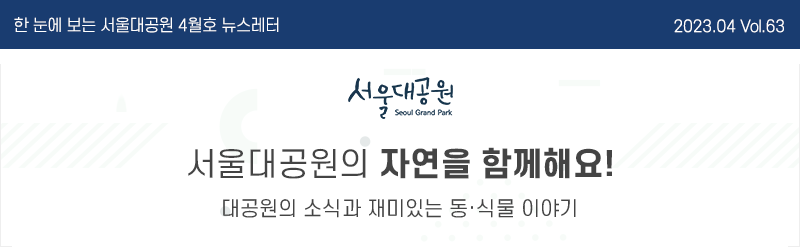 한 눈에 보는 서울대공원 4월호 뉴스레터 2023. 04. Vol.63, 서울대공원의 자연을 함께해요! 대공원의 소식과 재미있는 동물 및 식물 이야기