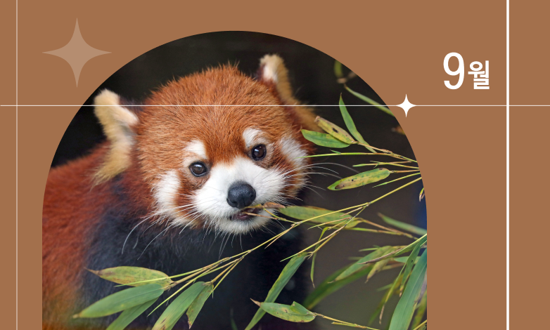 9월 이달의 동물