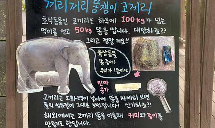 끼리끼리 똥쟁이 코끼리