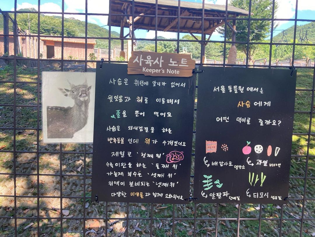 사슴의 먹이