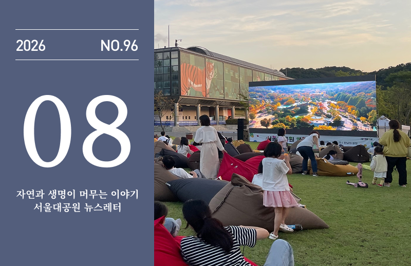 서울대공원 8월 뉴스레터